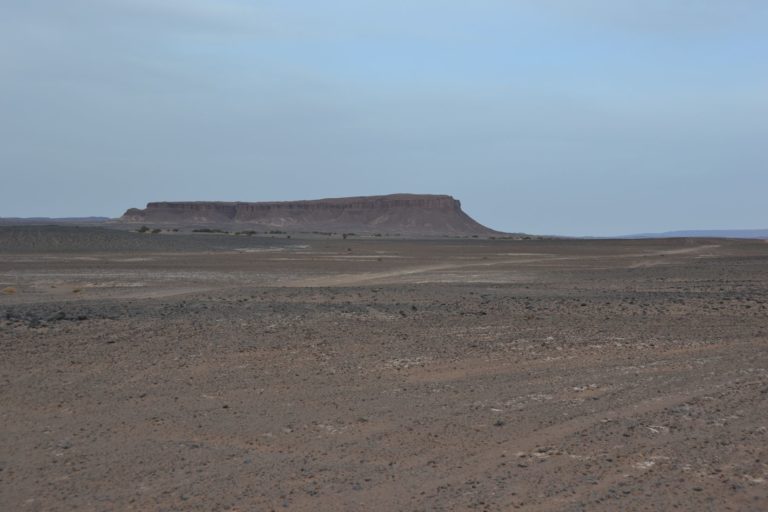 DSC_0431