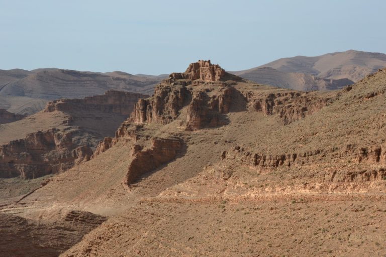 DSC_0506