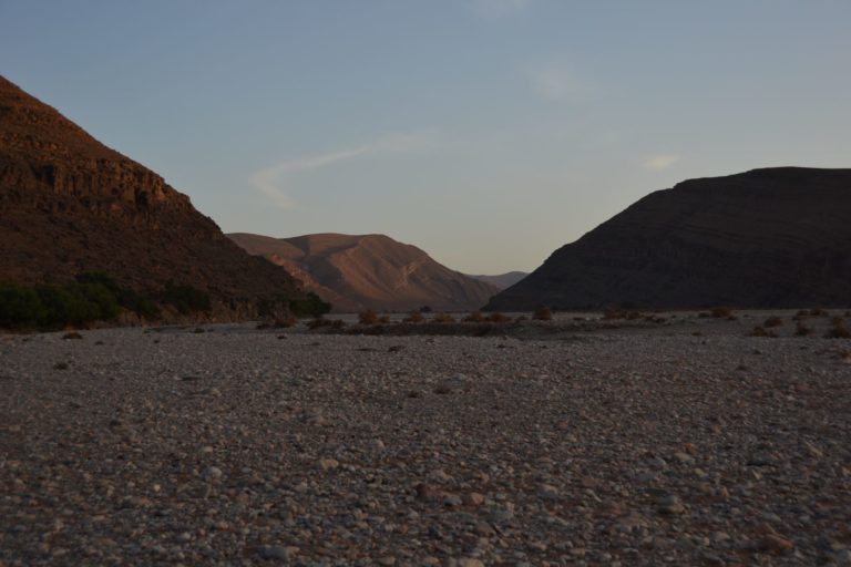 DSC_0529