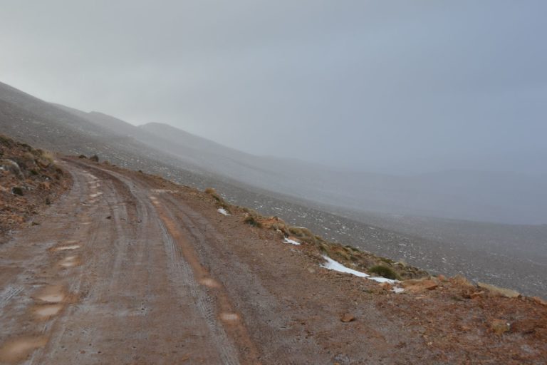 DSC_0968