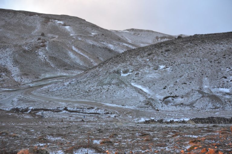 DSC_0976