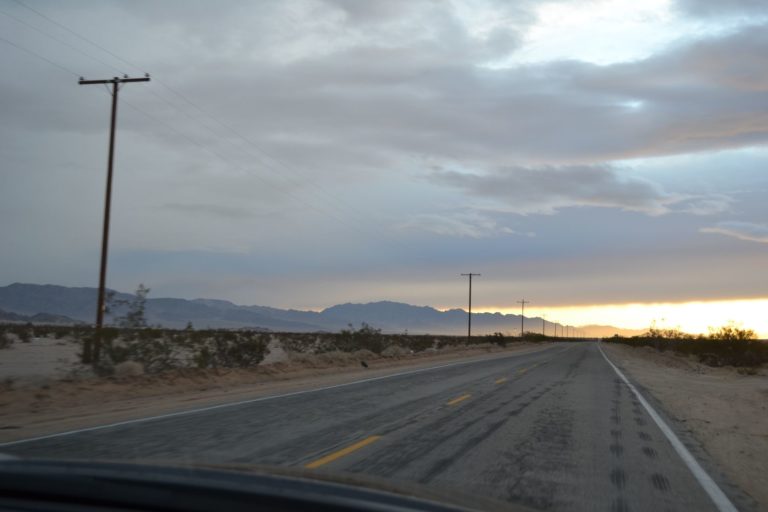 DSC_2275