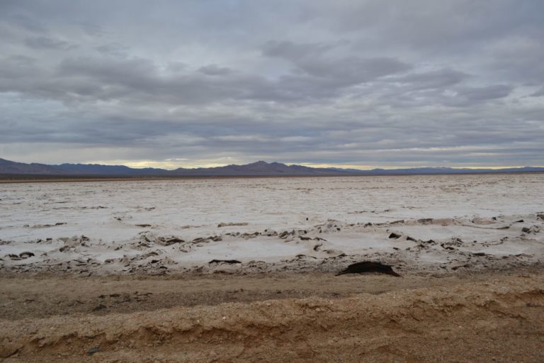 DSC_2291