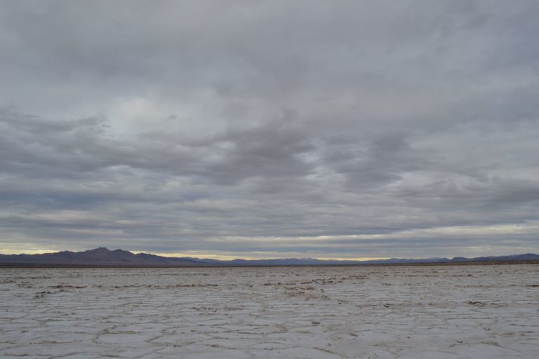 DSC_2298
