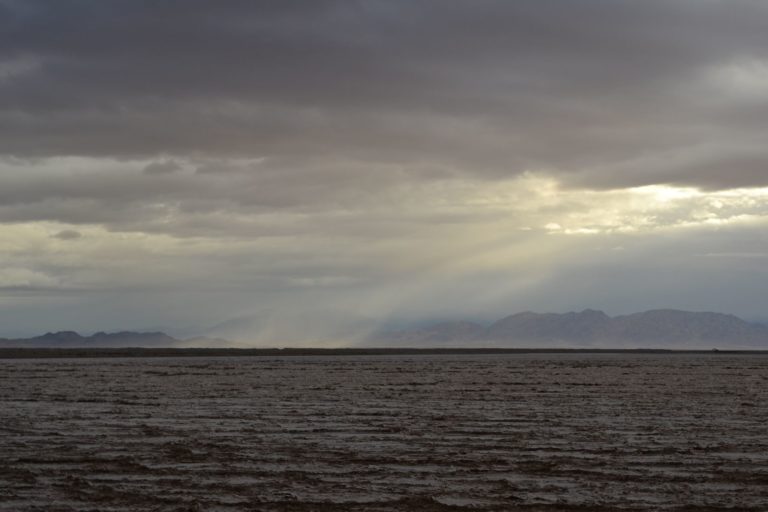 DSC_2302