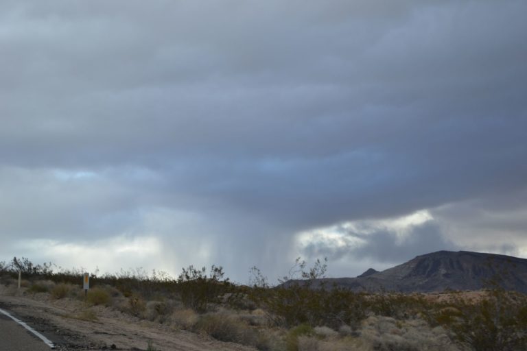 DSC_2311