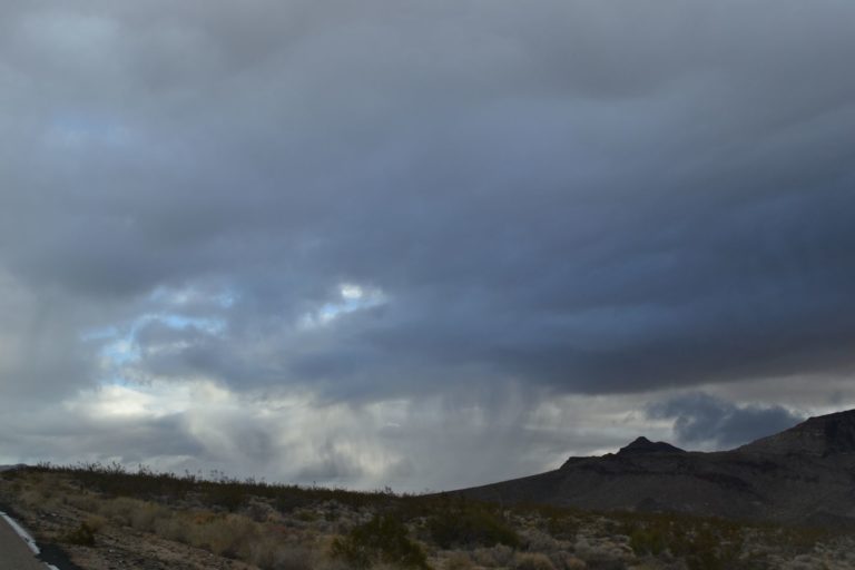 DSC_2315