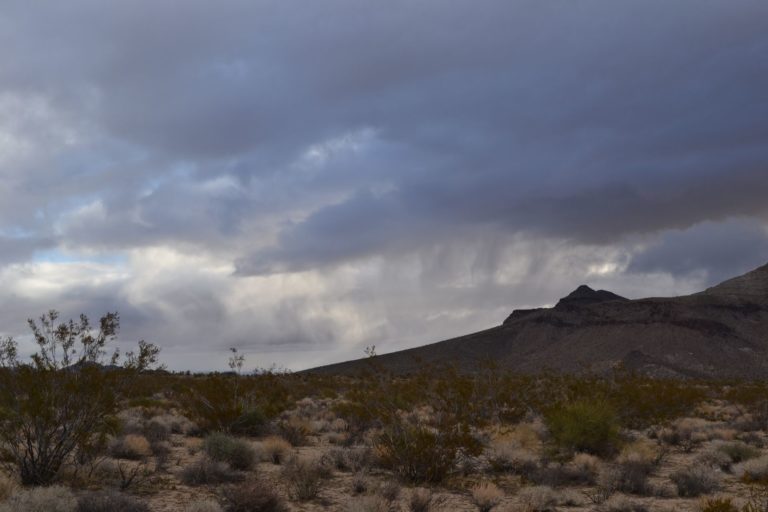 DSC_2318