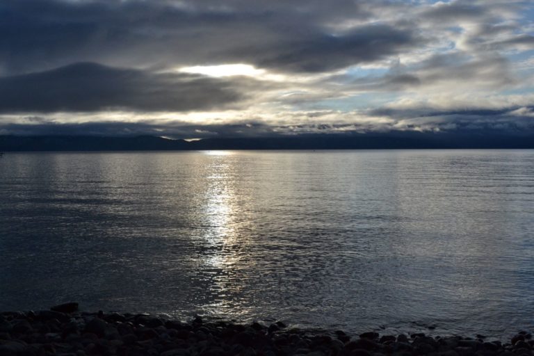 DSC_2613