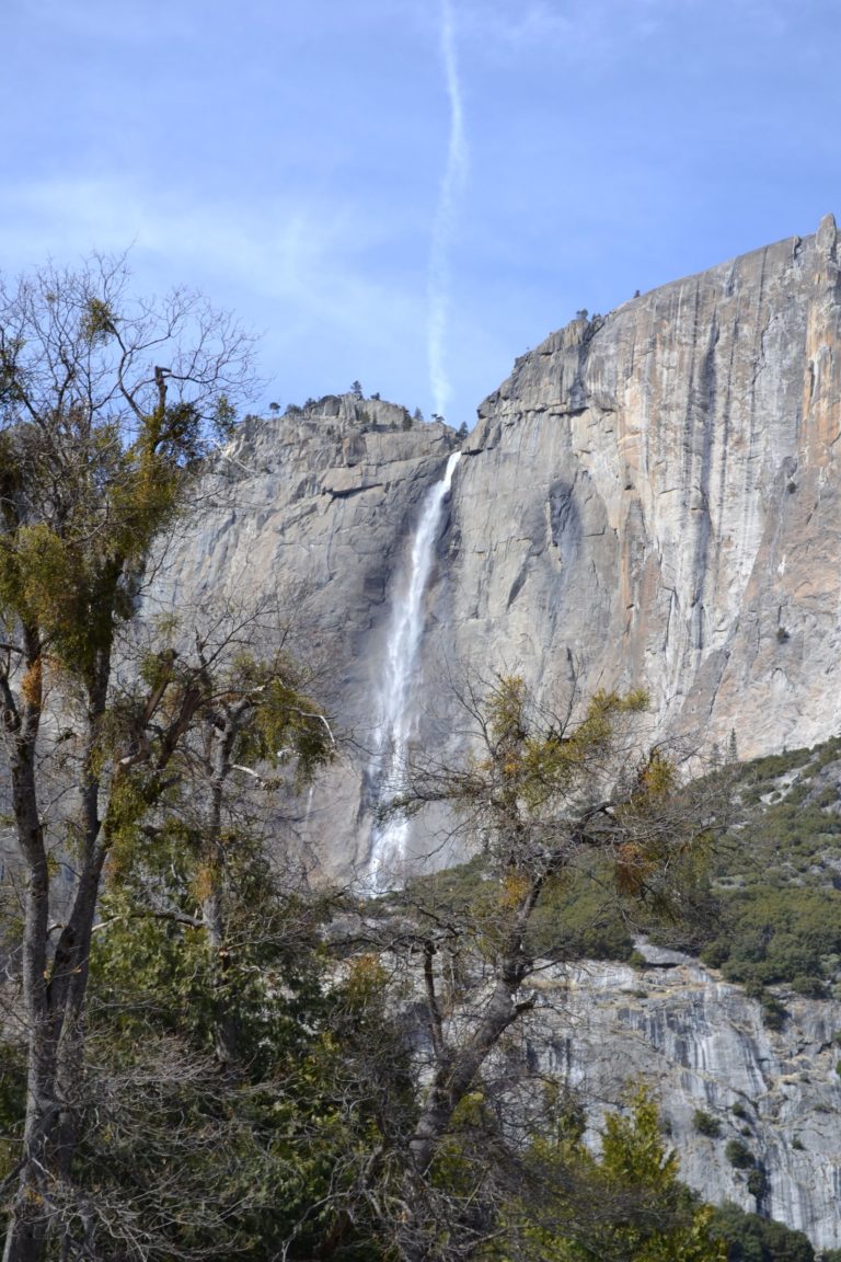 DSC_2716