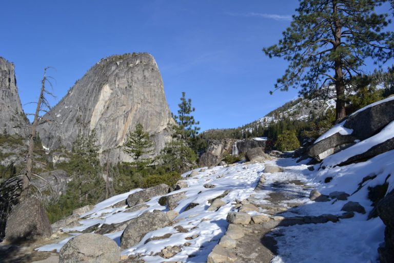 DSC_2737