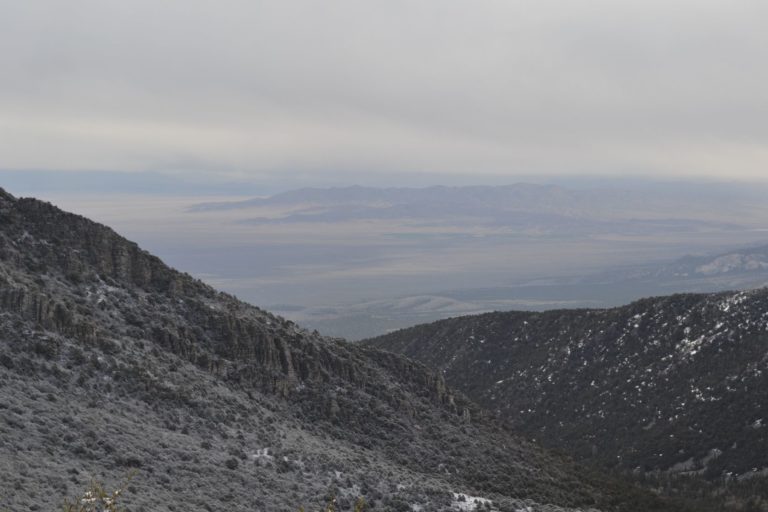 DSC_3163