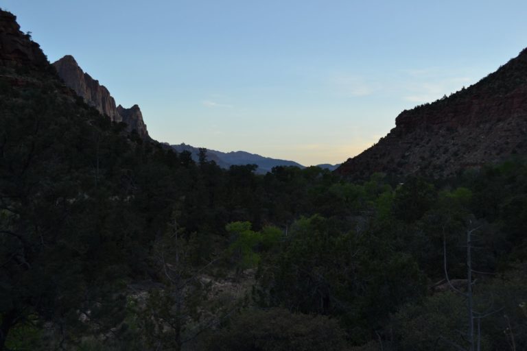 DSC_3254