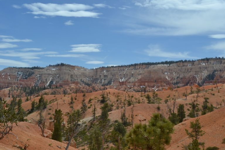 DSC_3356
