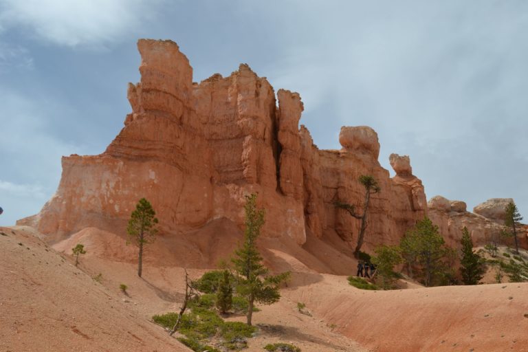 DSC_3358