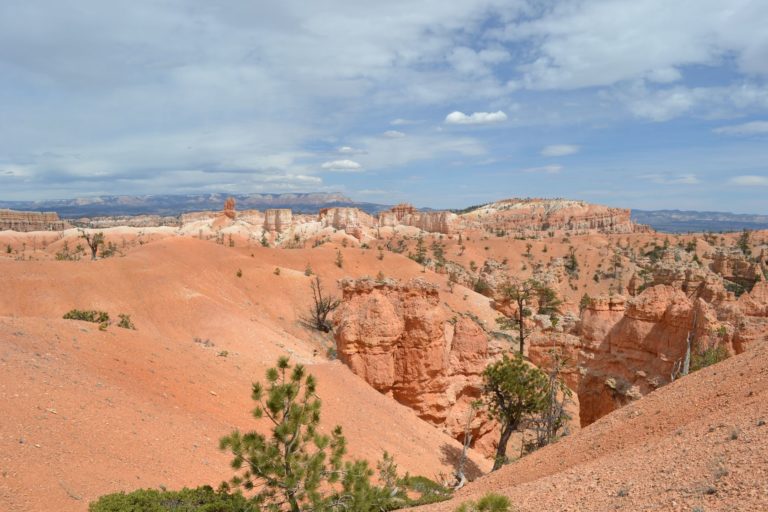 DSC_3365