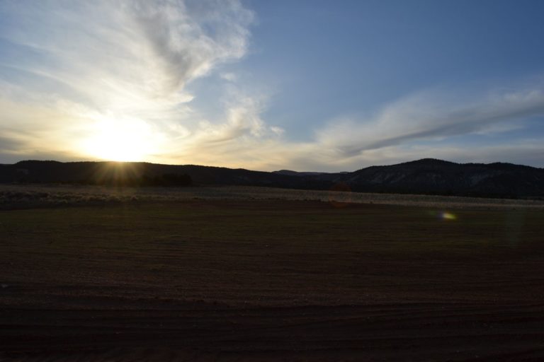 DSC_3392