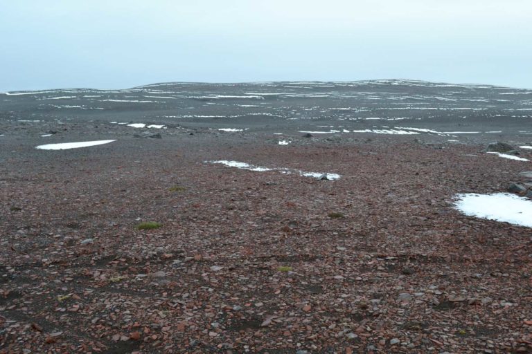 ICELANDDSC_4492