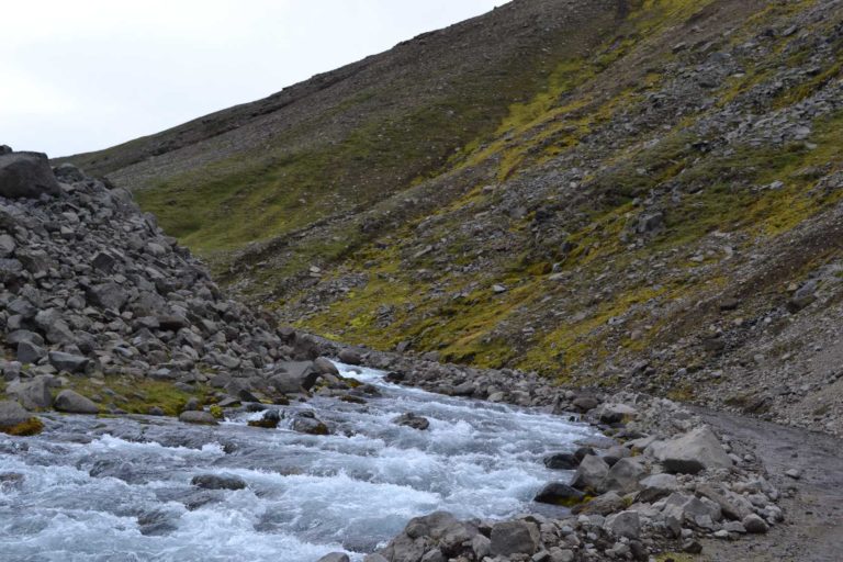 ICELANDDSC_4519