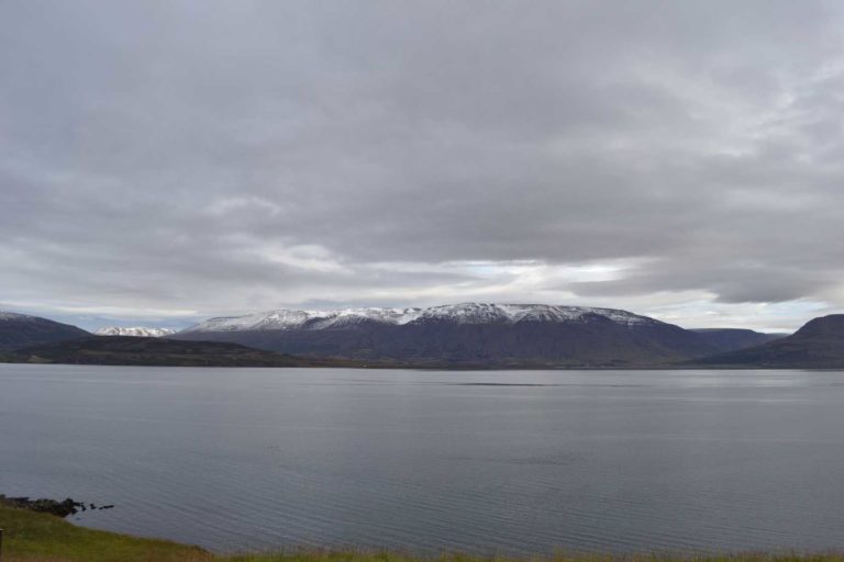 ICELANDDSC_4535