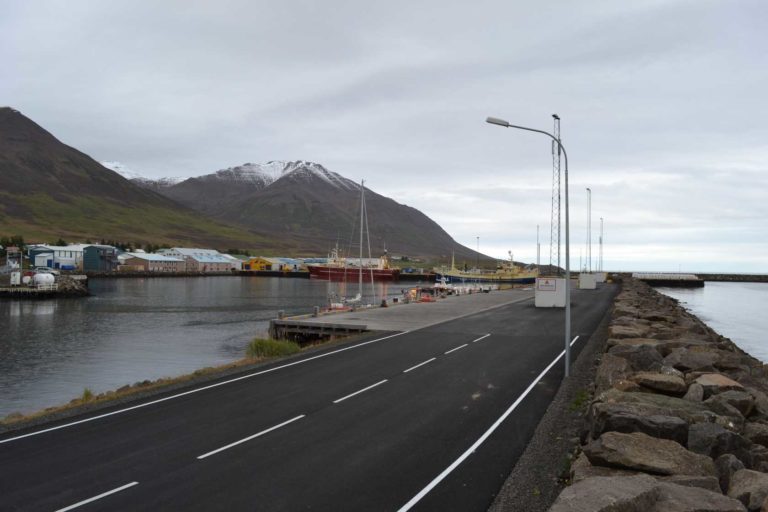 ICELANDDSC_4542