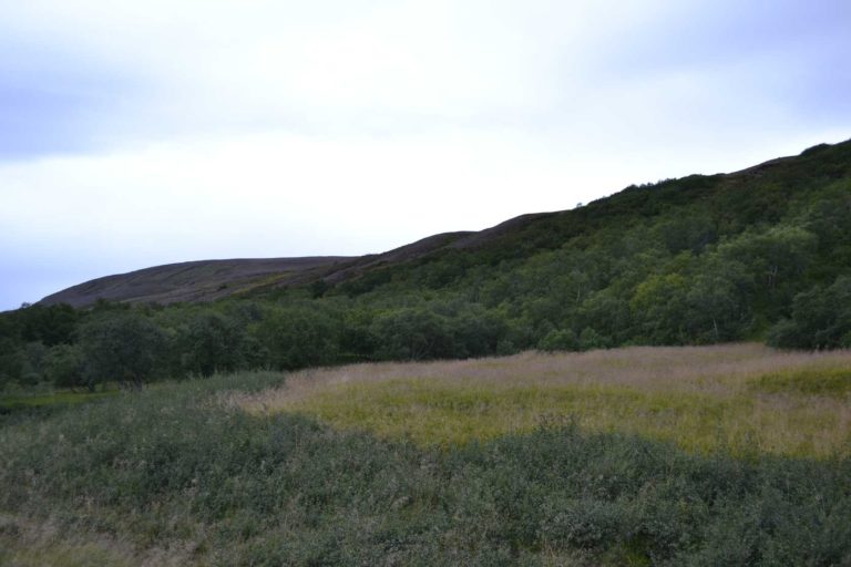 ICELANDDSC_4571