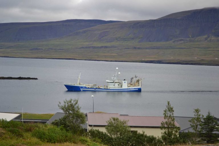 ICELANDDSC_4770