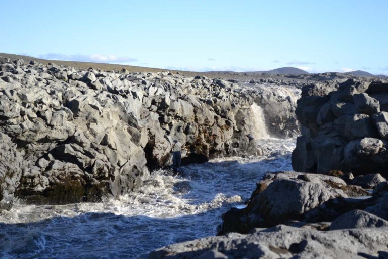 ICELANDDSC_4831