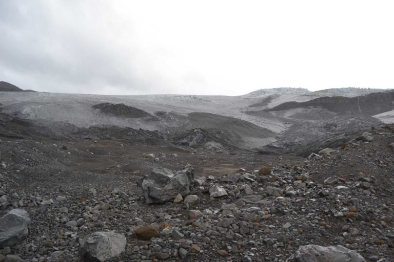 ICELANDDSC_4921