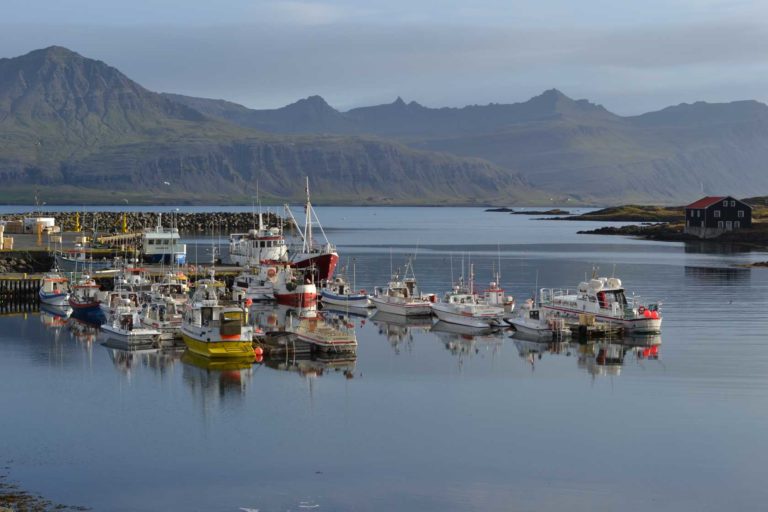 ICELANDDSC_5089