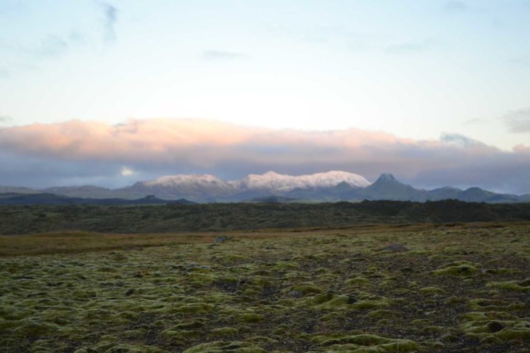 ICELANDDSC_5182