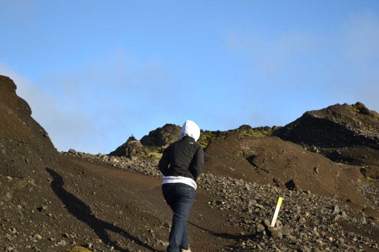 ICELANDDSC_5194