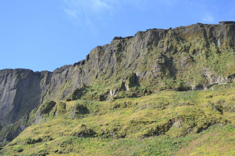 ICELANDDSC_5233