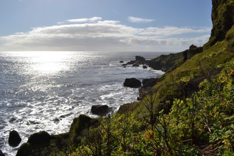 ICELANDDSC_5240