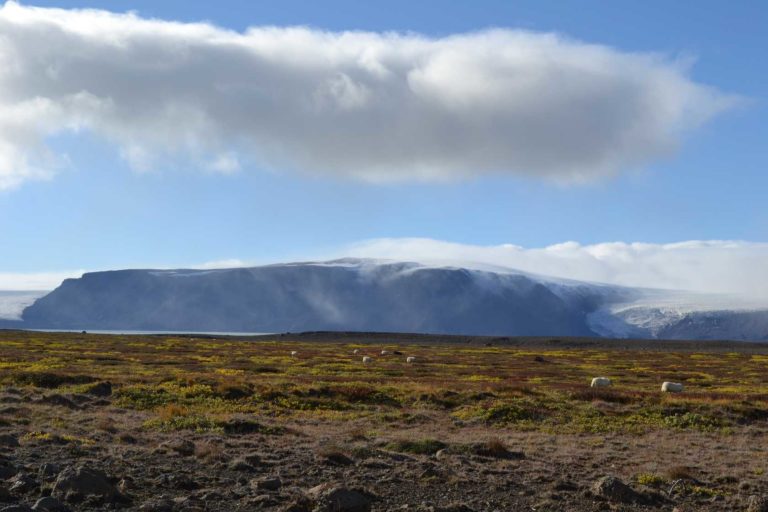 ICELANDDSC_5379