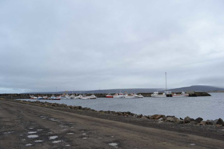 ICELANDDSC_5447