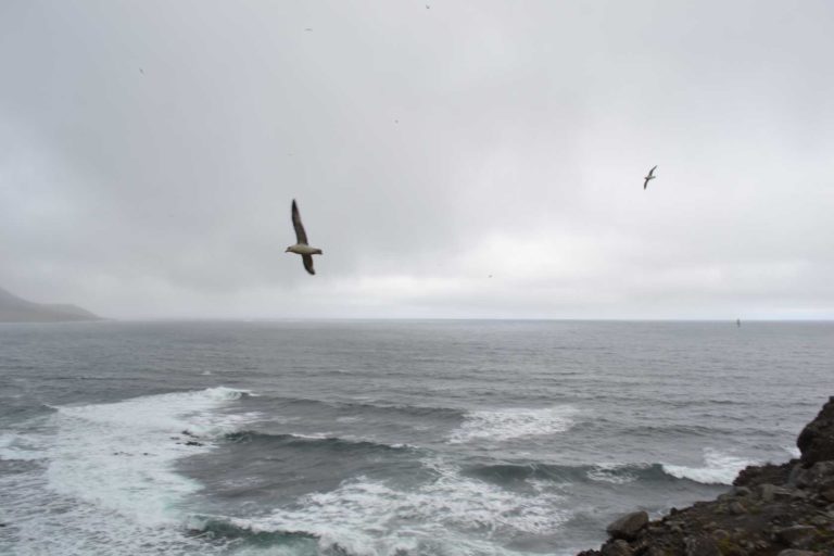ICELANDDSC_5460