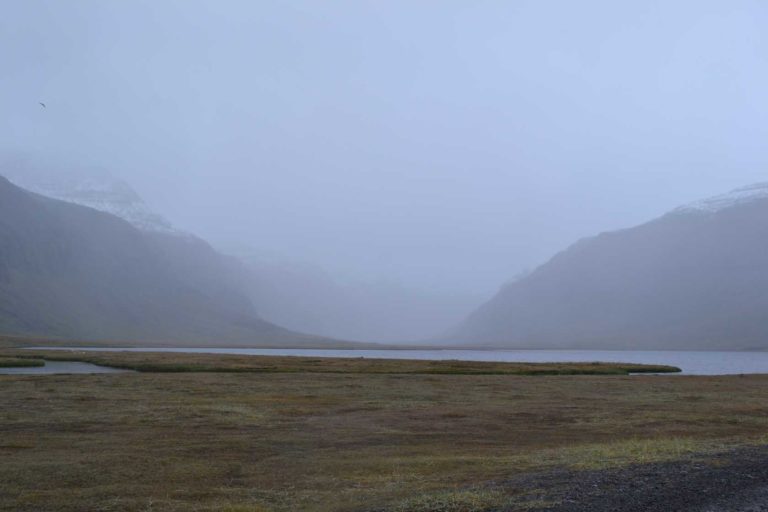 ICELANDDSC_5463