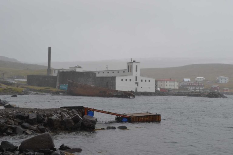 ICELANDDSC_5465
