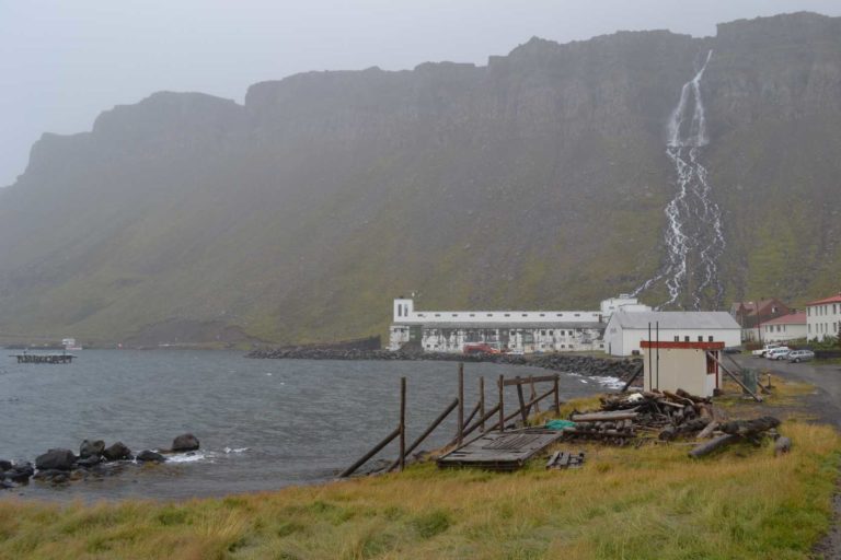 ICELANDDSC_5467