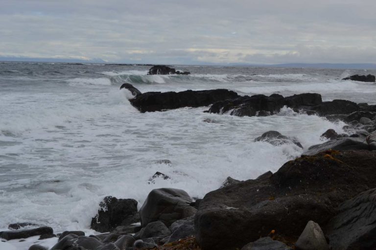 ICELANDDSC_5482