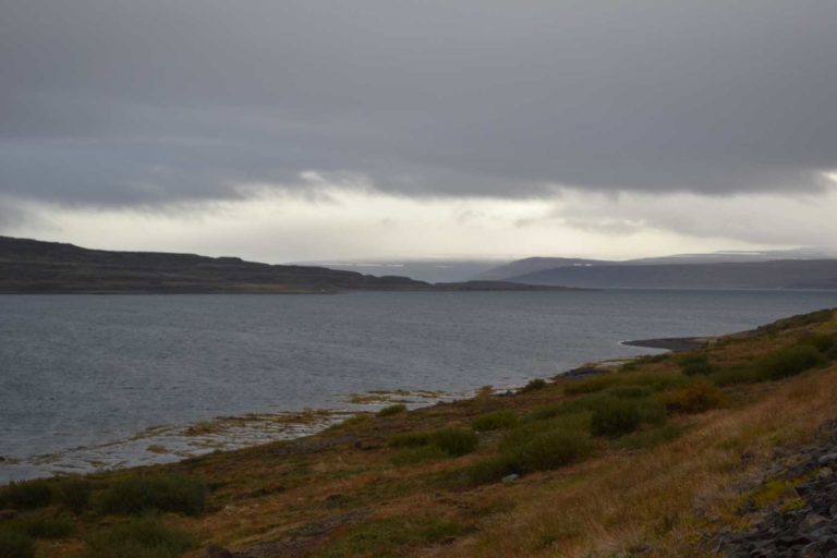 ICELANDDSC_5495