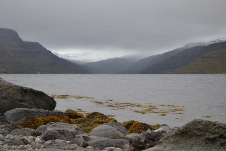 ICELANDDSC_5526