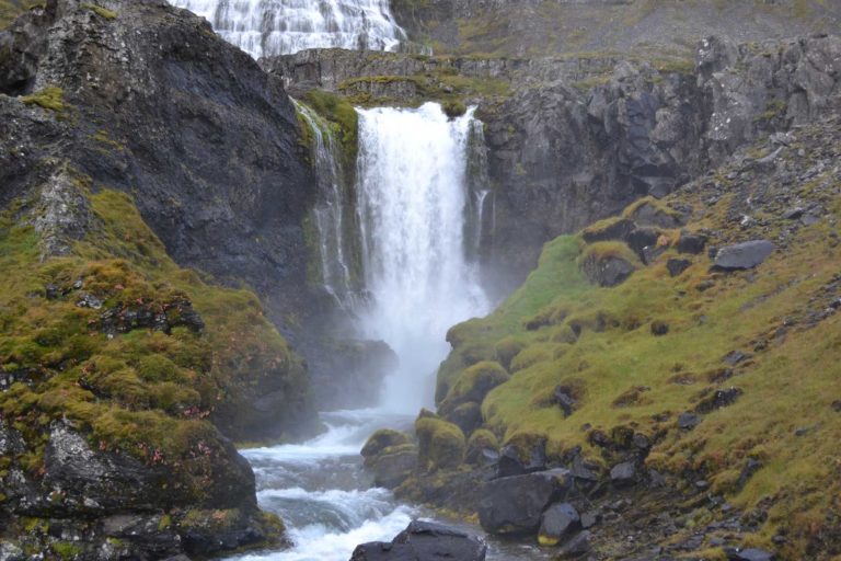 ICELANDDSC_5566