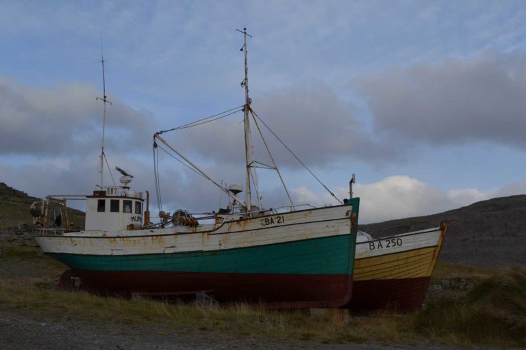 ICELANDDSC_5607