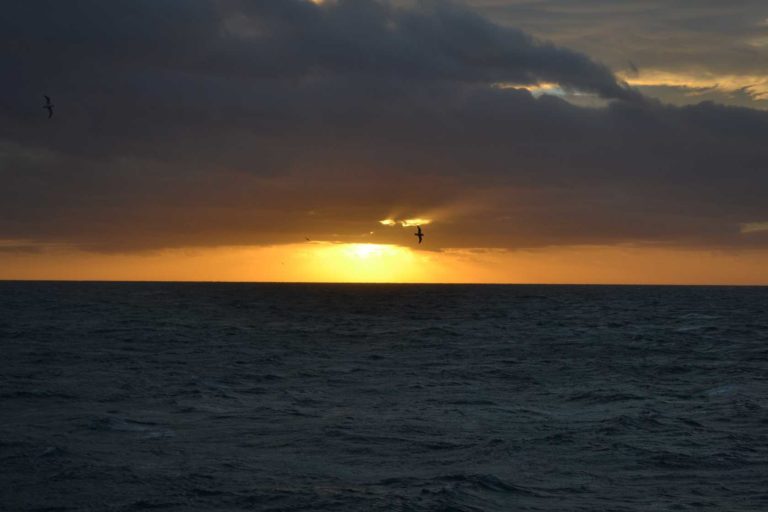 ICELANDDSC_5736