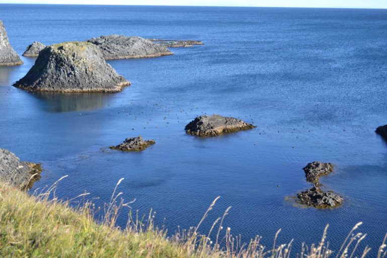 ICELANDDSC_5917