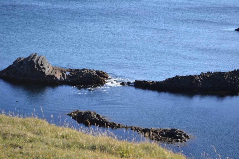 ICELANDDSC_5918