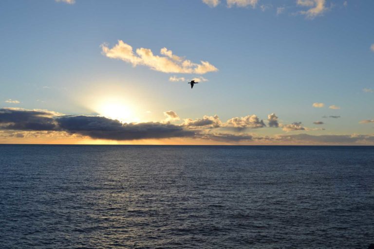 ICELANDDSC_5940