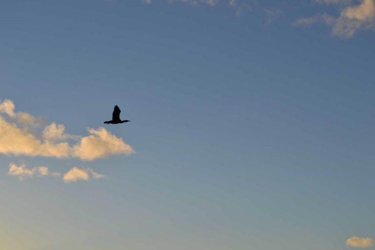 ICELANDDSC_5943